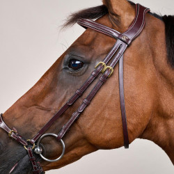 Hoofdstel Duitse Neusriem Verstelbaar D Collection by Dy'on Bruin Hoofdstel Duitse Neusriem Verstelbaar D Collection by Dy'on Bruin