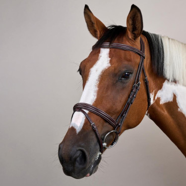 Bridon Mexicaanse Neusriem US Collection by Dy'on Bruin