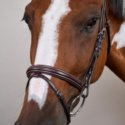 Bridon Mexicaanse Neusriem US Collection by Dy'on Bruin