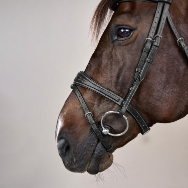 Hoofdstel Combiné Anatomisch US Collectie by Dy'on Zwart