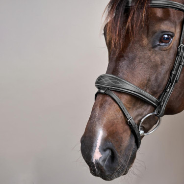 Hoofdstel Combiné Anatomisch US Collectie by Dy'on Zwart