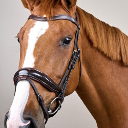 Hoofdstel Combiné Breed Gelakt Working By Dy'on Bruin