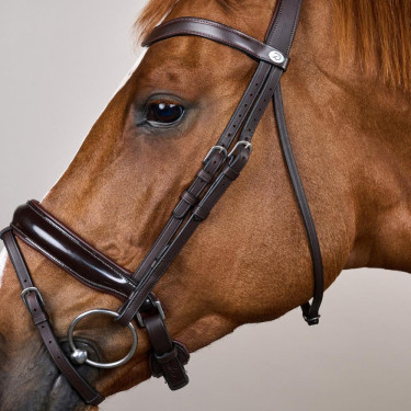 Hoofdstel Combiné Breed Gelakt Working By Dy'on Bruin