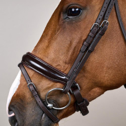 Hoofdstel Combiné Breed Gelakt Working By Dy'on Bruin