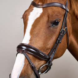 Hoofdstel Combiné Breed Gelakt Working By Dy'on Bruin