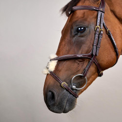 Bridon Muserolle Gekruist D Collection by Dy'on Bruin