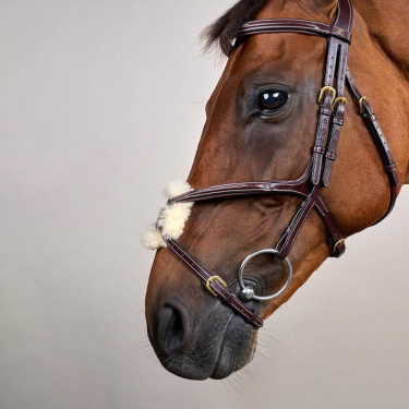 Bridon Muserolle Gekruist D Collection by Dy'on Bruin