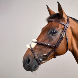 Bridon Muserolle Gekruist D Collection by Dy'on Bruin