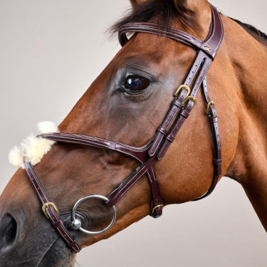 Bridon Muserolle Gekruist D Collection by Dy'on Bruin