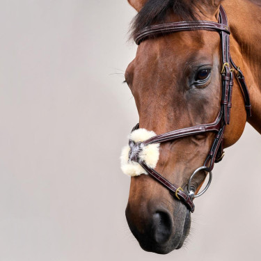 Bridon Muserolle Gekruist D Collection by Dy'on Bruin