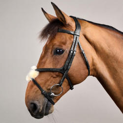 Bridon Muserolle Kruis New English Collection by Dy'on Zwart