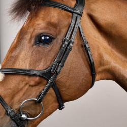 Bridon Muserolle Kruis New English Collection by Dy'on Zwart