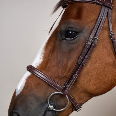 Franse Neusriem US Collectie van Dy'on Bruin Franse Neusriem US Collectie van Dy'on Bruin