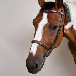 Franse Neusriem US Collectie van Dy'on Bruin Franse Neusriem US Collectie van Dy'on Bruin