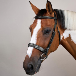 Bridon Muserolle Large Hunter US Collectie van Dy'on Zwart