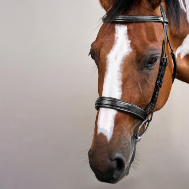 Bridon Muserolle Large Hunter US Collectie van Dy'on Zwart