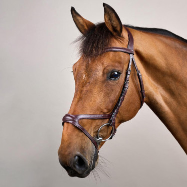 Bridon X-Fit New English Collection van Dy'on Bruin Bridon X-Fit New English Collection van Dy'on Bruin