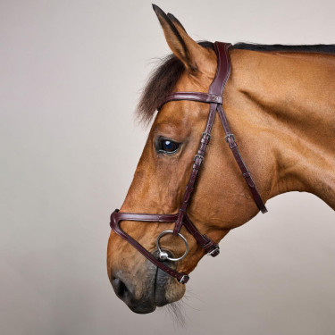 Bridon X-Fit New English Collection van Dy'on Bruin Bridon X-Fit New English Collection van Dy'on Bruin