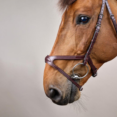 Bridon X-Fit New English Collection van Dy'on Bruin Bridon X-Fit New English Collection van Dy'on Bruin