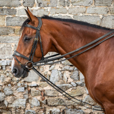 Duitse teugels Full Leather 1/2 D Collection by Dy'on Zwart Duitse teugels Full Leather 1/2 D Collection by Dy'on Zwart