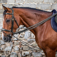 Duitse teugels Leder/Nylon 5/8 D Collectie van Dy'on Zwart