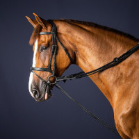 Duitse teugels Leder/Nylon 5/8 New English Collection by Dy'on Zwart