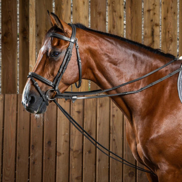 Duitse teugels Volledig Leer 1/2 Working Van Dy'on Zwart