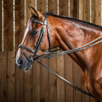 Duitse teugels Hunter 1/2 Working By Dy'on Zwart