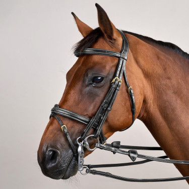 Gecombineerde Neusriem D Collection by Dy'on Zwart Gecombineerde Neusriem D Collection by Dy'on Zwart