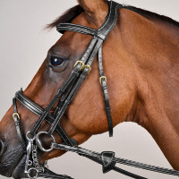 Gecombineerde Neusriem D Collection by Dy'on Zwart