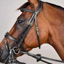 Gecombineerde Neusriem D Collection by Dy'on Zwart