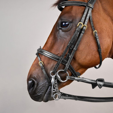 Gecombineerde Neusriem D Collection by Dy'on Zwart Gecombineerde Neusriem D Collection by Dy'on Zwart