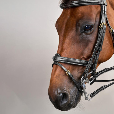 Gecombineerde Neusriem D Collection by Dy'on Zwart Gecombineerde Neusriem D Collection by Dy'on Zwart