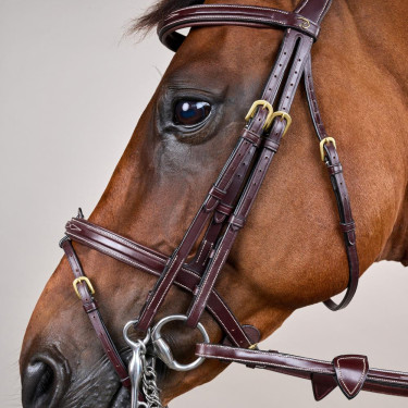 Gecombineerde Neusriem D Collection by Dy'on Bruin