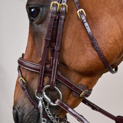 Gecombineerde Neusriem D Collection by Dy'on Bruin