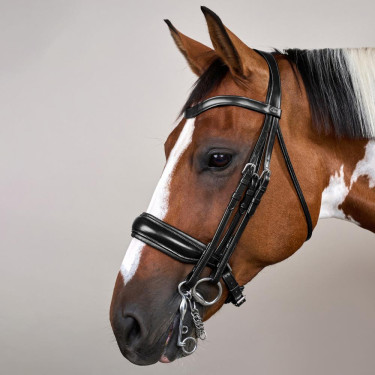 Trenshoofdstel Grote Matte Werking Door Dy'on Zwart