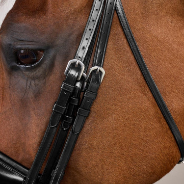 Trenshoofdstel Grote Matte Werking Door Dy'on Zwart