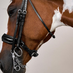 Trenshoofdstel Grote Matte Werking Door Dy'on Zwart