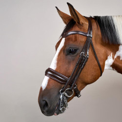 Trenshoofdstel Grote Matte Werking Door Dy'on Bruin