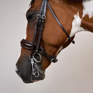 Trenshoofdstel Grote Matte Werking Door Dy'on Bruin