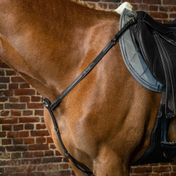 Jachtborsttuig D-Collectie van Dy'on Zwart