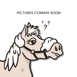 Martingaal Met Ringen US Collectie van Dy'on Zwart Martingaal Met Ringen US Collectie van Dy'on Zwart