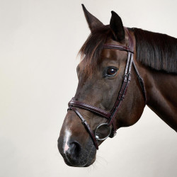 Bridon Sperriem Combinée Dy'on New English Collection Bruin