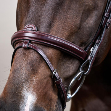 Bridon Sperriem Combinée Dy'on New English Collection Bruin