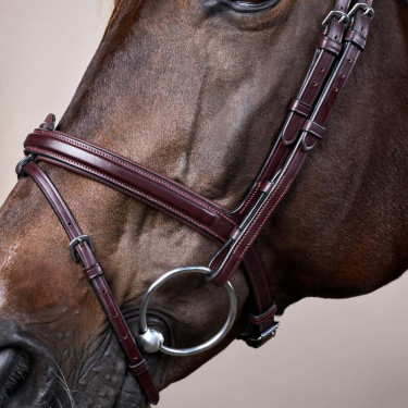 Bridon Sperriem Combinée Dy'on New English Collection Bruin