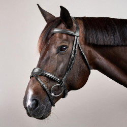 Bridon Mexicaans gecombineerde Dy'on New English Collection Zwart Bridon Mexicaans gecombineerde Dy'on New English Collection Zwart