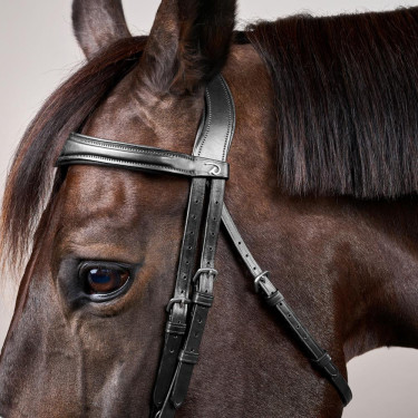 Bridon Mexicaans gecombineerde Dy'on New English Collection Zwart Bridon Mexicaans gecombineerde Dy'on New English Collection Zwart