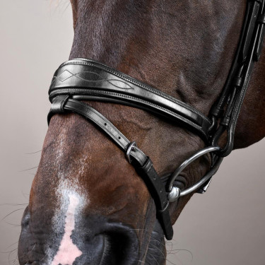 Bridon Mexicaans gecombineerde Dy'on New English Collection Zwart Bridon Mexicaans gecombineerde Dy'on New English Collection Zwart