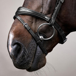 Bridon Mexicaans gecombineerde Dy'on New English Collection Zwart Bridon Mexicaans gecombineerde Dy'on New English Collection Zwart