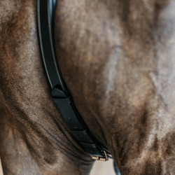 Jachtborsttuig 5 punten met elastieken D Collection Dy'on Zwart